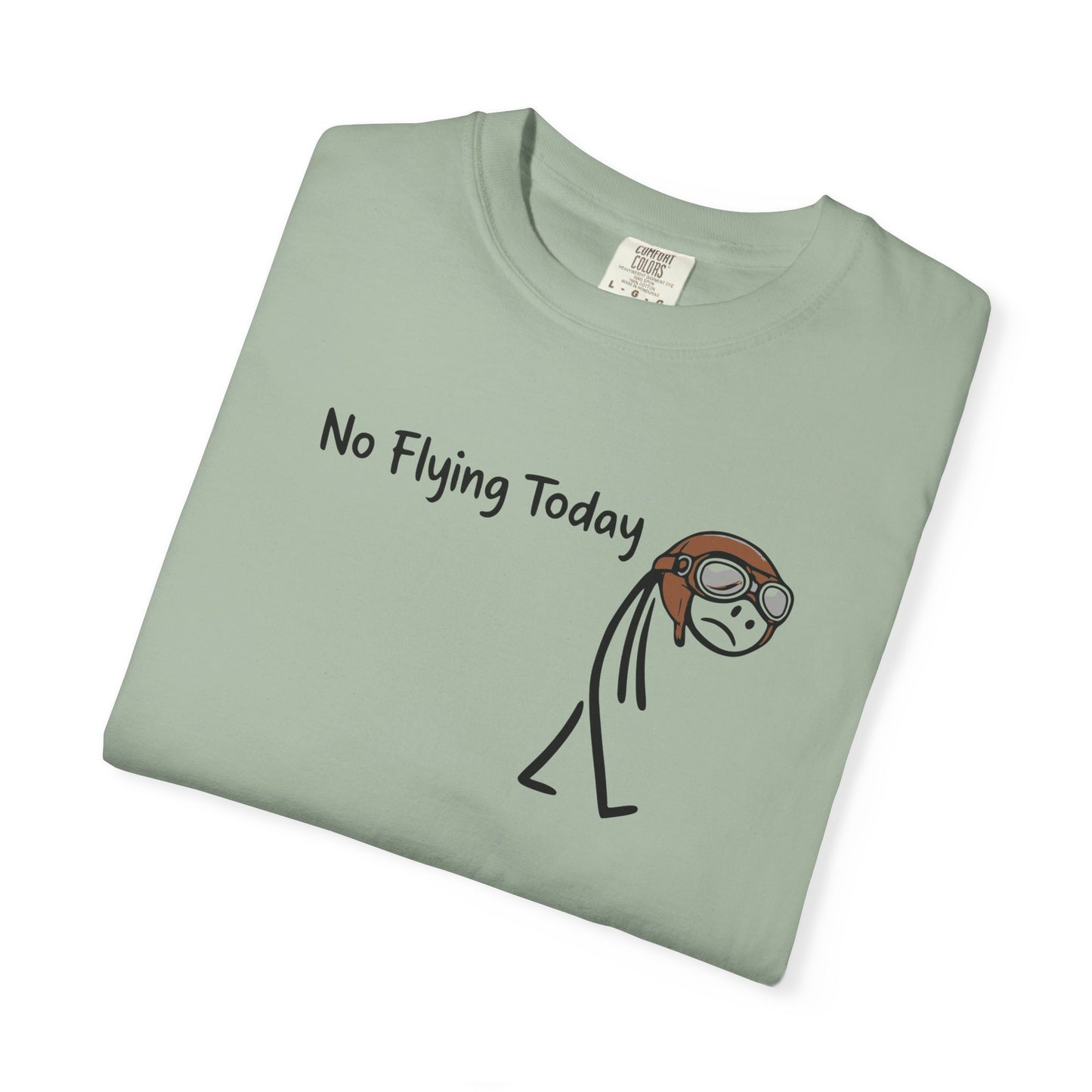 No Flying Today T-Shirt