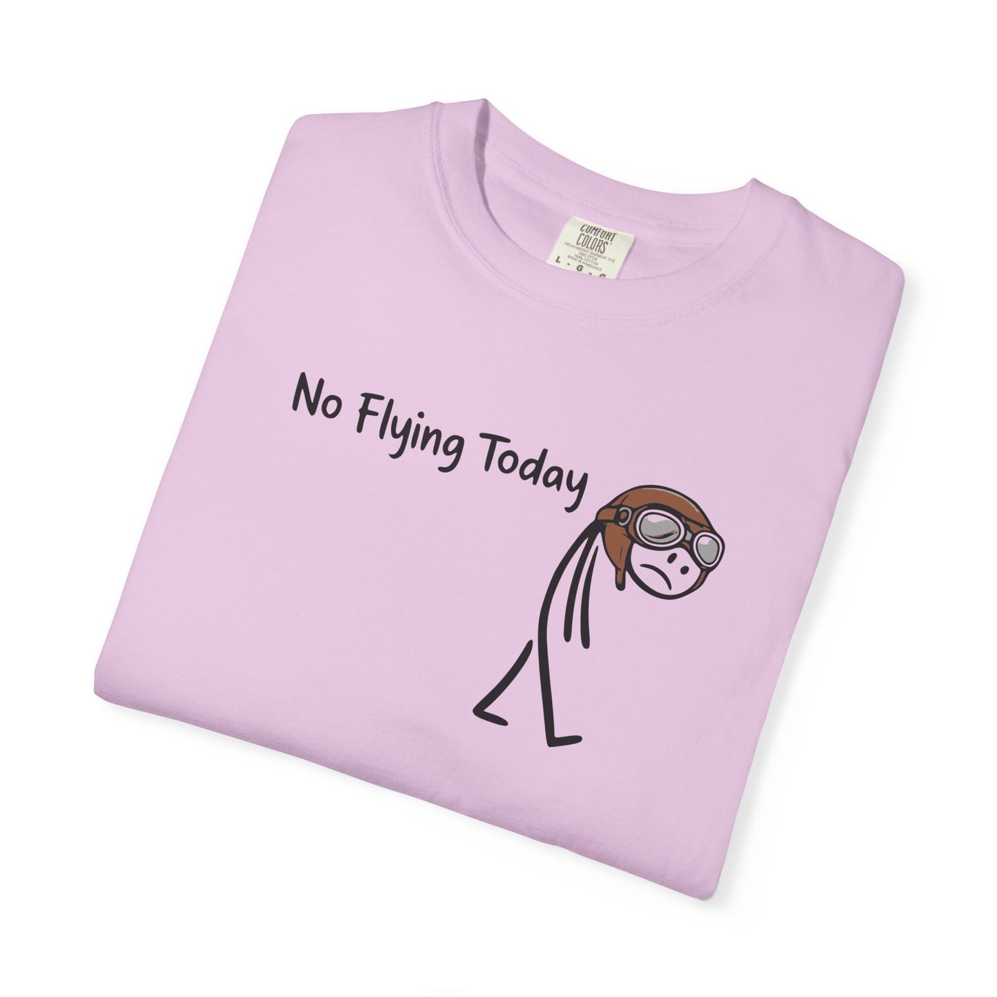 No Flying Today T-Shirt