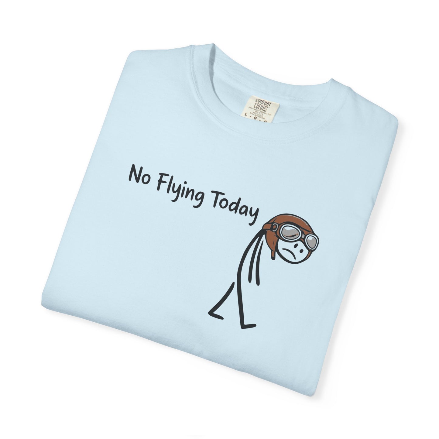 No Flying Today T-Shirt