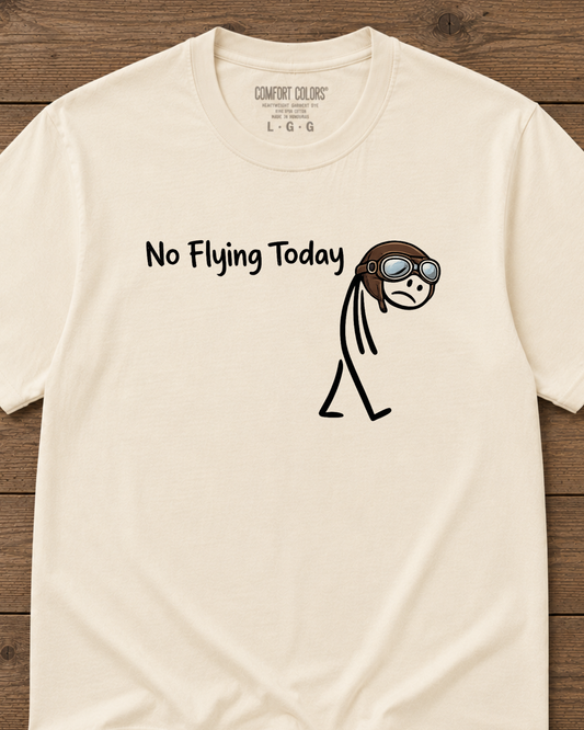 No Flying Today