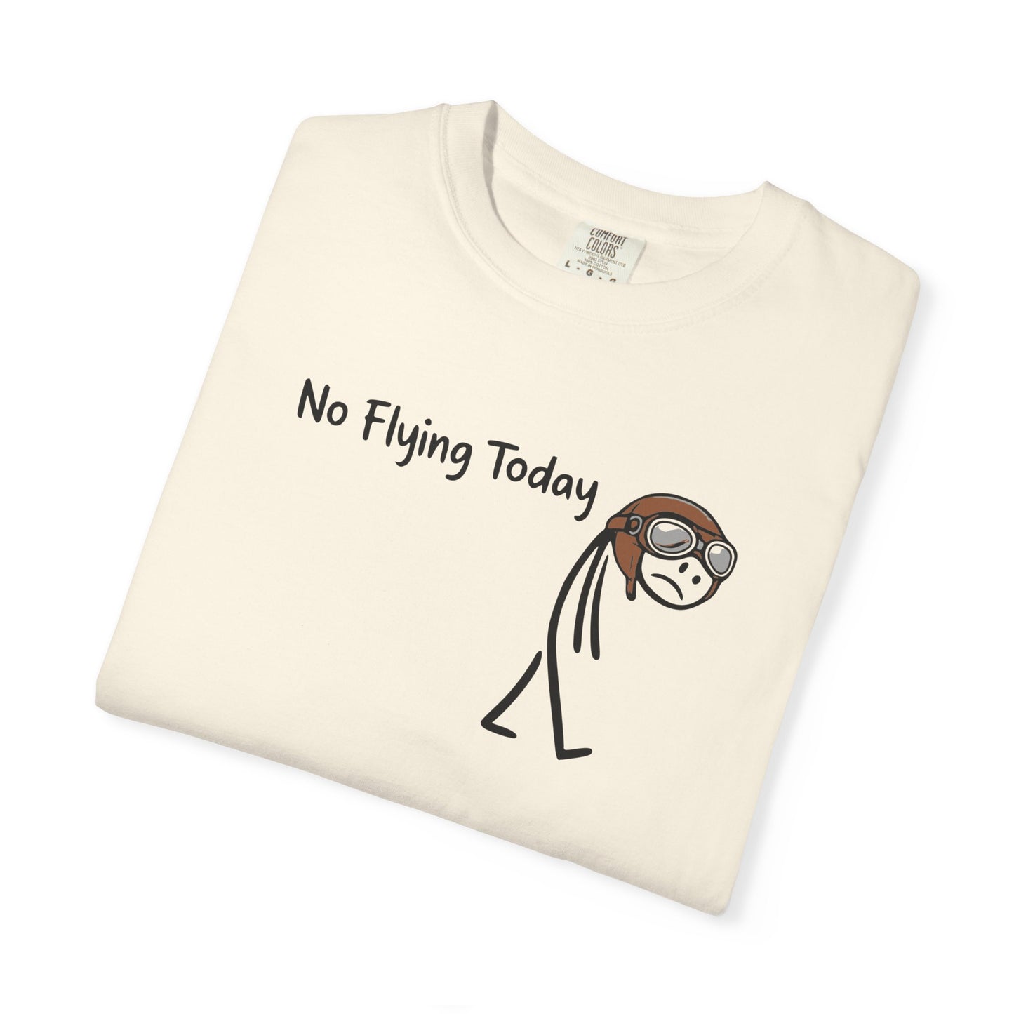 No Flying Today T-Shirt